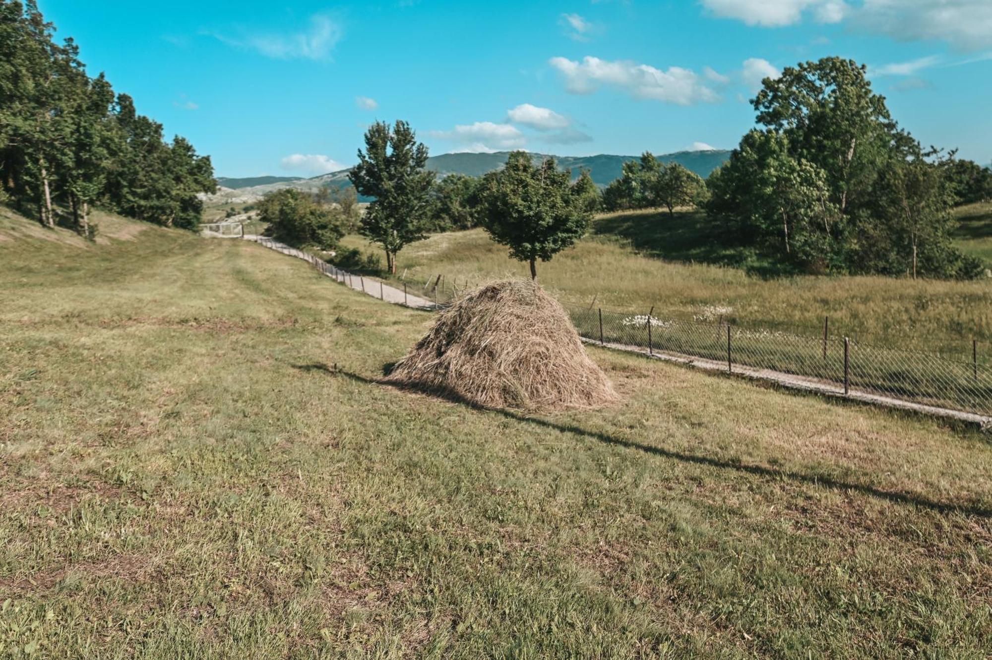 Villa Domacinstvo Braca Rebic Gacko Esterno foto